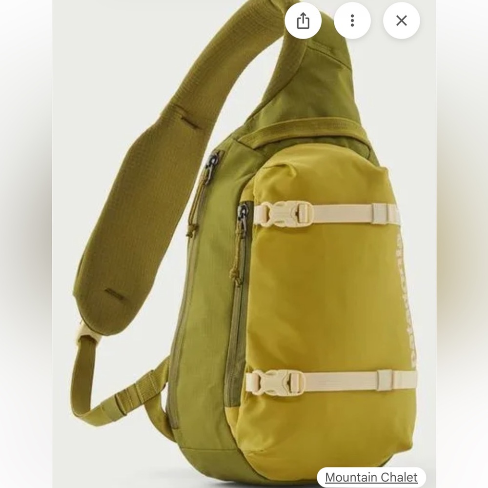 Patagonia Atom Sling Bag 8L: graze green